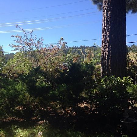 Switzerland Haus Bed And Breakfast Inn Big Bear Lake Exterior photo